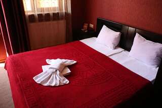 Отель Danisimo Hotel Тбилиси Стандартный двухместный номер с 1 кроватью или 2 отдельными кроватями-10